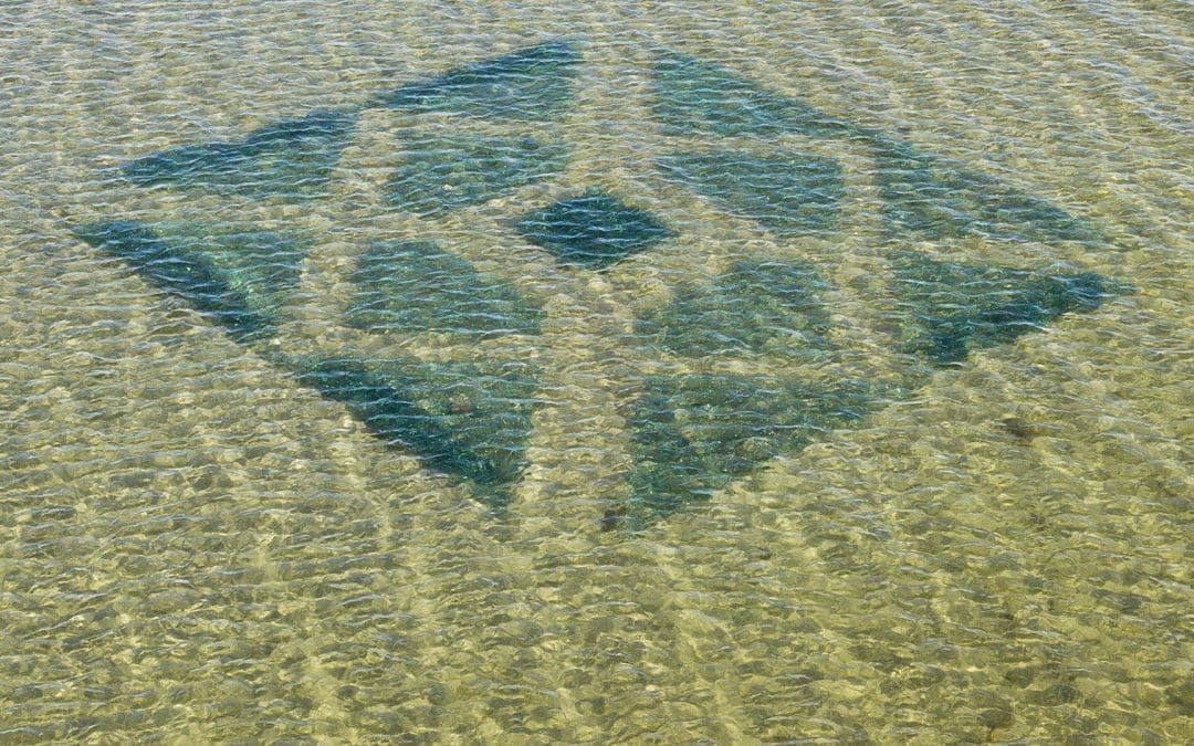 «Zostera Marina  — Море перемен»Elin&Keino — Сандра Нюберг & Хейни Ниеминен 18.6.2021—5.9.2021