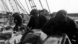 Miehiä purjeen parsimishommissa laivan kannella mustavalkoisessa valokuvassa