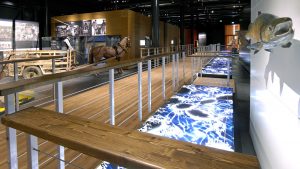 Kymenlaakson museon näyttelytilan yleiskuvaa