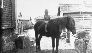 Pieni poika hevosen selässä mustavalkoisessa kuvassa