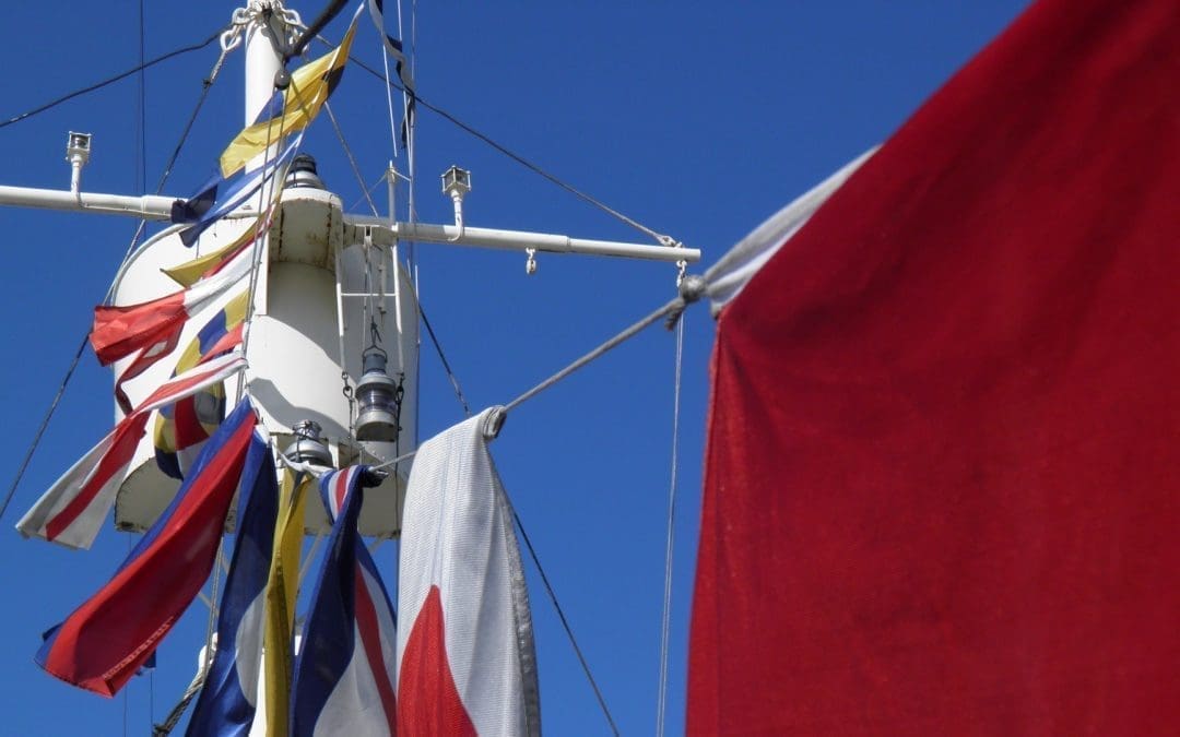 Vellamon kesä! Pidennetyt aukiolot & opastuksia.4.6.-18.8.2019